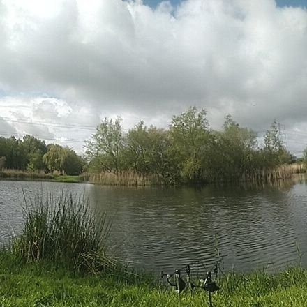 NoodyTheCarp's profile picture. Leeds, Fishing and Roofing