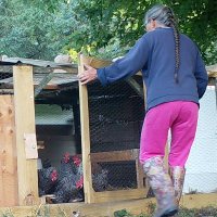Patti Naylor (@pattinaylor2) 's Twitter Profile