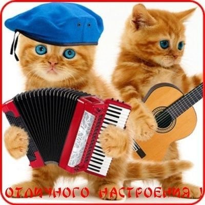 Katrin2_6408's profile picture. #DimashNumber1 #PhoenixTwitterDears 💥Люблю слушать музыку Димаша