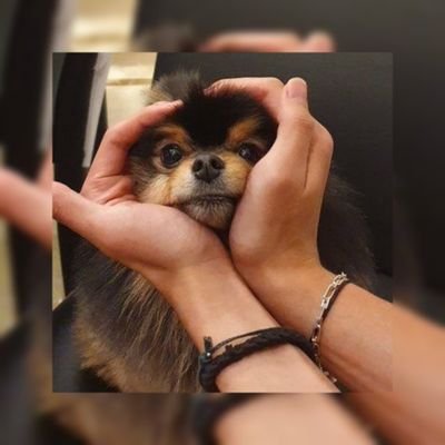 pm_fati's profile picture. me gusta mucho BTS💜 soy army y mi bias es V-tae 💜