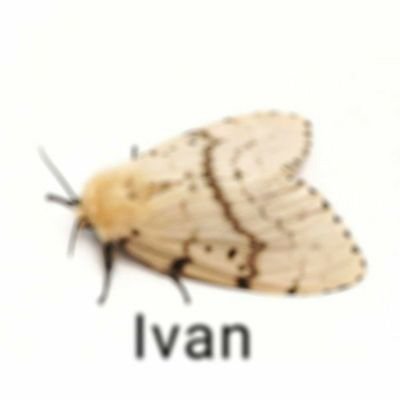 Feepさんのプロフィール画像