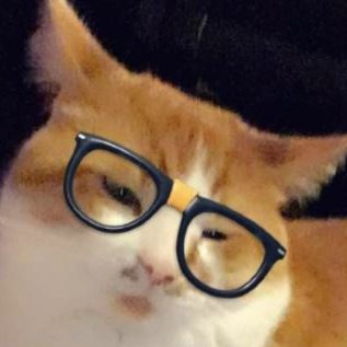 AndrosCE's profile picture. /  mEoW / Insta: AndrosCE /  Vibes