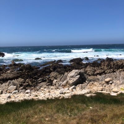 junzhong2013's profile picture. Math & AI