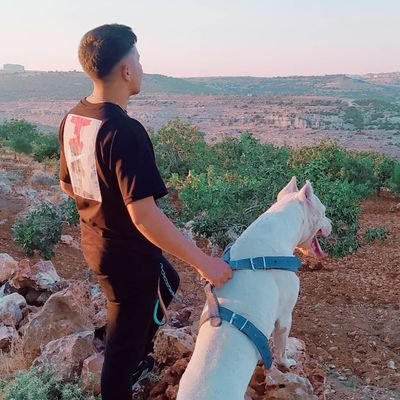 MehmetY81599220's profile picture. 🎶