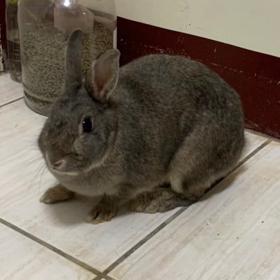 6w2xUb4TSSLAL77's profile picture. 