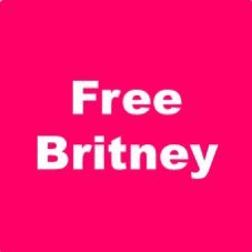 Member of #freebritney