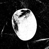 MANGOSEED (@mangoseed) 's Twitter Profile Photo MANGOSEED (@mangoseed) 's Twitter Profile Photo