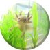 buflbras (@buflbras1) Twitter profile photo buflbras (@buflbras1) Twitter profile photo