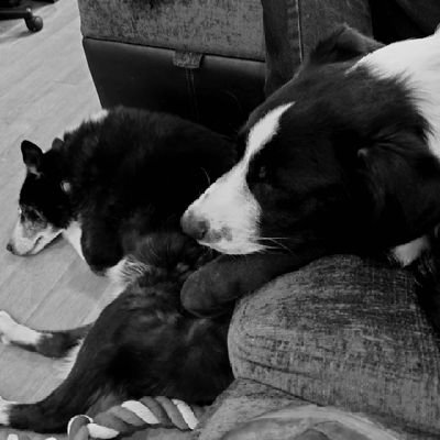 maryyoung21's profile picture. 