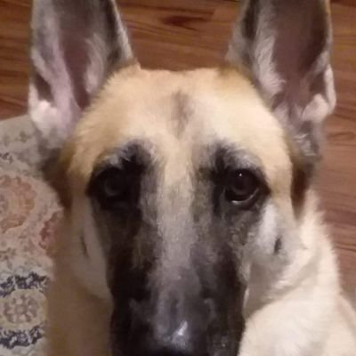 authorjobeekman's profile picture. Writer. Author of Secret Rituals, Faded Children, and co-author of The Giant and the Gatekeepers