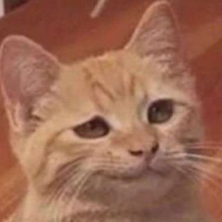 MFind3r's profile picture. Imma fins meme's and repost em