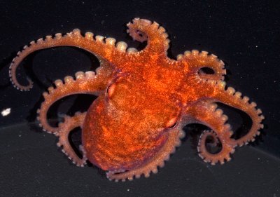 unkemptaussie's profile picture. Blanket apology to everyone on YouTube. Sorry about the lost $$$ but I usually skip ads for unaccredited Christian school scams and that's all I get.