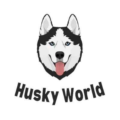 Husky World Community