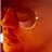 BigWoozy1's profile image