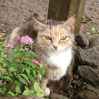 k8（けいや） (@k8_k858621917) Twitter profile photo