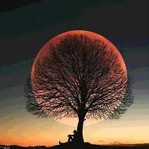 DrawingCat_5's profile picture. Love to explore new things