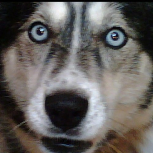 billrinson's profile picture. 