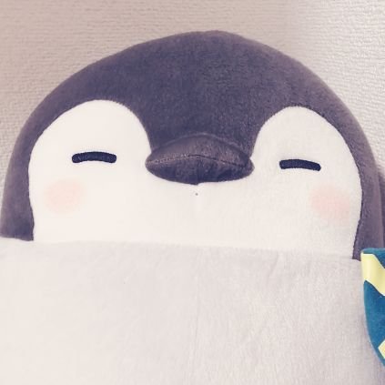 kokokopomu's profile picture. 雑食 20↑ 低浮上です🙇‍♀️