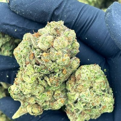 To purchase your medications online with or without prescription you can simply email us at jimmybensone at protonmail dot com
Text/whatsapp:+1(330) 892-8628