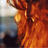 Taterina's profile image