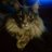 ninigirl84's avatar