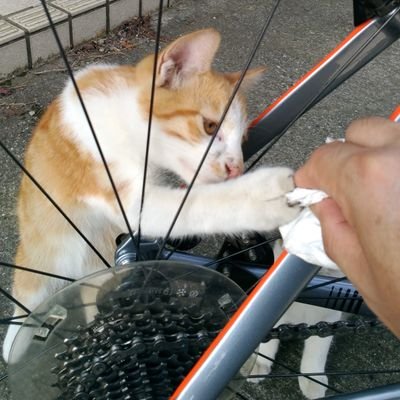 ゆるポタしてます。面白いことがしたい!