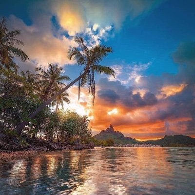 JamesDa25593985's profile picture. 