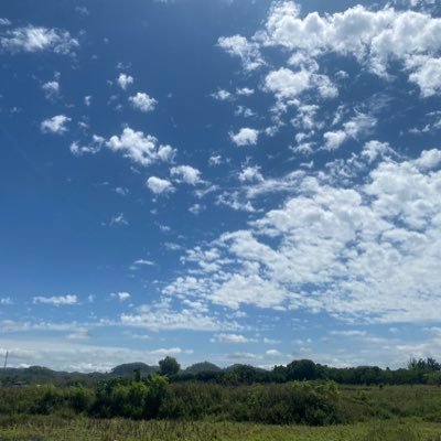 saintsup22's profile picture. คนที่รักน้องเซ้นต์ และคนที่น้องเซ้นต์รัก