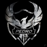 pedro (@pedropachecoar2) 's Twitter Profile