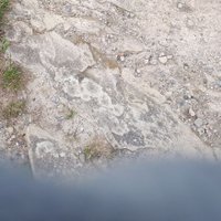 VariantofnoConcern (@franziausn) 's Twitter Profile