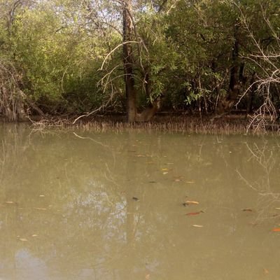 parse_e's profile picture. 