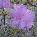 Kimberly Hale - @KimBloomHale - Twitter