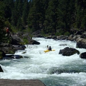 edyflwr's profile picture. Plant Native Plants - learn more @novanatives