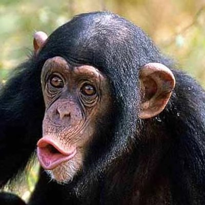 tVmsSPAW0zhAhEF's profile picture. бз