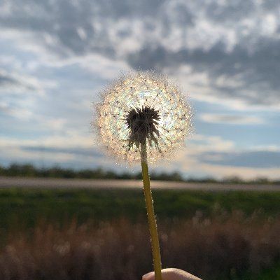 wenchaozhao1's profile picture. Organic electronics, Organic and perovskite solar cells, FET, memory, Postdoctoral, Purdue, PhD, ICCAS, Traveling, Cooking, Hiking