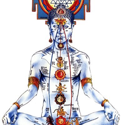 devd67866028's profile picture. future doctor, sanatini 😇😇