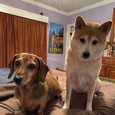 We took over mom’s account. Molly is 12 and Simba is 8. we love this Twitter thing