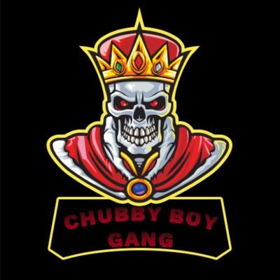 We are a newly found stream team looking to get our name out there #chubbyboygang. We stream Apex, Gta 5 and much more. Check us out on #twitch and #mixer.