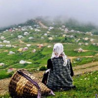 مُحتَطِبة (@qcc_333) 's Twitter Profile Photo