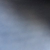 ラー (@wanwan____dog) 's Twitter Profile