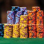 My loves but I'm awful at: Poker Player, Forex Trader, Crypto Investor, NFT Buyer, Gamer, Fisherman (okay, not too bad here), Options Trader, & Golfer