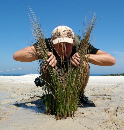 Arachnarchy's profile picture. 