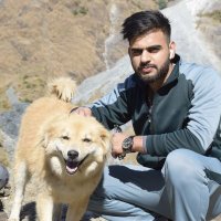 Abhinav Sharma (Dogra) (@abhinav0341) 's Twitter Profile