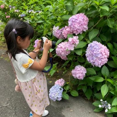 harumiu_fp19xx's profile picture. 🌻🐉⚔️ 情報収集＆リプ、ひとりごと用。
