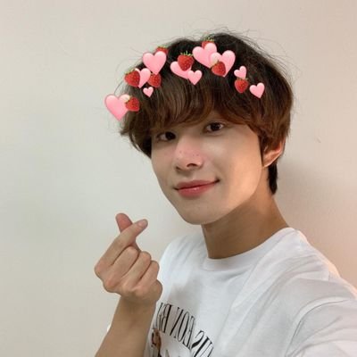 jungwooindosat's profile picture. puppies | this account is dedicated for #정우