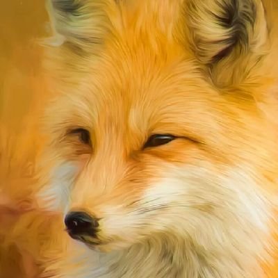 qaitsar's profile picture. bercanda