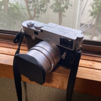 ハッシー Profile