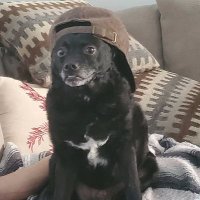 Kryppkeepa (@kryppkeepa) 's Twitter Profile