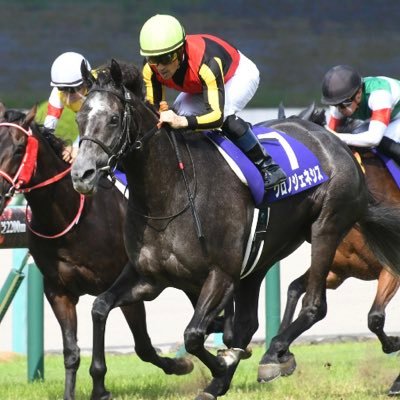 tarokeiba0's profile picture. 競馬予想してます。展開、馬場、血統