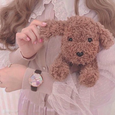 20↑成人済み|喫煙者(電子タバコ)|基本 夜ー深夜のご連絡|プロカ未読は基本お断り、条件違いお返事返しません💦|現地交換は未読可です☺️